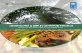 nbsapforum.netnbsapforum.net/sites/default/files/Soluciones_clima... · 2019. 3. 19. · ii Soluciones para el clima de comunidades forestales: Aprendiendo de pueblos indgenas y comunidades
