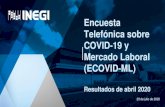 Encuesta Telefónica sobre COVID-19 y Mercado Laboral ...€¦ · OBJETIVO GENERAL •Obtener información complementaria a la ETOE sobre la características de la fuerza de trabajo