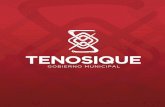 MANUAL DE ORGANIZACI ÓN 2016 - 2018 AT - MO - DTM - 001tenosique.gob.mx/archivos_transparencia/2016/1... · 2018. 11. 24. · MANUAL DE ORGANIZACI 5 DIRECCIÓN DE TRÁNSITO MUNICIPAL