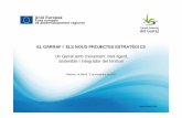 Un Garraf amb creixement intel·ligent, sostenible i …...sostenible i integrador del territori Vilanova i la Geltrú, 3 de novembre de 2017 El Pla de desenvolupament econòmic i
