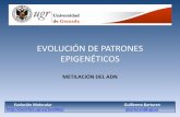 EVOLUCIÓN DE PATRONES EPIGENÉTICOS...EVOLUCIÓN DE PATRONES EPIGENÉTICOS METILACIÓN DEL ADN CONTEXTOS DE METILACIÓN Arabidopsis thaliana Homo sapiens Lister et al. (2008) Lister