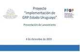Proyecto “Implementación de GRP Estado Uruguayo” · 2020. 2. 18. · MIEM 2019 MGAP 2019 Evolucionar Consolidar +Organismos MRREE 2017 CEIP 2017 ASSE 2018 MIDES ... CRONOGRAMA