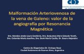 Malformación Arteriovenosa de la vena de Galeno: valor de la … · 2019. 2. 19. · Malformación Arteriovenosa de la vena de Galeno: valor de la angiografía por Resonancia Magnética