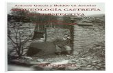 GARCÍA Y BELLIDO EN ASTURIAS - Fundación …fundacionvaldessalas.es/wp-content/uploads/2018/02/...Fernando Rodríguez del Cueto (Prof. Asociado de Prehistoria, Universidad de Oviedo)