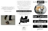 San Lorenzo de El Escorialescorialfelino.es/wp-content/uploads/docs/Triptico... · 2019. 4. 18. · Lorenzo de El Escorial Los gatos de San Lorenzo de El Escorial ¡tam bién son