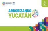 Presentación de PowerPoint - Secretaría de Desarrollo ...sds.yucatan.gob.mx/arborizando-yucatan/documentos/... · DESARROLLO SUSTENTABLE YUCATAN . Jun Yucatán . Jun Yucatán .