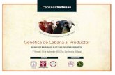 Genética de Cabaña al Productor - BGL : Consignataria · 2016. 9. 20. · Bienvenidos al 7° Remate Anual de Cabañas Salteñas, ... E286 C A 04/11/2014 6900 SOL BRANGUS 3/8 1 Trim