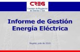 Informe de Gestión Energía Eléctrica · 2017. 12. 21. · Transporte de energía eléctrica, desde el punto de entrega de la energía del sistema de transmisión hasta el domicilio