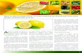 Nace en Murcia Asaja Citrus, la nueva sectorial de cítricos que … · 2017. 11. 27. · Caravaca, “nuestro objetivo es que esta sectorial apoye decididamente el limón, que es