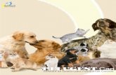 Software de Gestión para Peluquerías Caninas · 2019. 3. 26. · Almacén / Pedidos / Entradas / Stock Potente ficha de artículos para una bue-na gestión del almacén. Clasificación