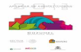 Cozumel - Gobierno | gob.mxsectur.gob.mx/wp-content/uploads/2015/02/PDF-Cozumel.pdfLas 44 Agendas desarrolladas tienen por objeto establecer un plan de acción que impulse la innovación