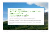 Costa Rica: Tortuguero, Caribe, Arenal y Monteverde · 2019. 12. 2. · muestrario de fauna y flora, imposible de admirar en otras latitudes del planeta. Entre los diversos hábitats