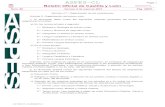 ASPES-CL Page 1 Boletín Oficial de Castilla y León...e) Dos materias de entre las siguientes materias de opción del bloque de asignaturas troncales: 1.º Ciencias Aplicadas a la