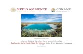 Fotografía: APFF Cuatrocienegas, Coahuila Informe Regional ......Noreste y Sierra Madre Oriental 0 7 5 2 0 0 14 Tabla 2b. Superficie (hectáreas) de áreas protegidas en la región