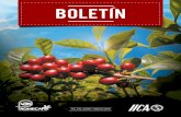 BOLETIN 142 modif - Promecafepromecafe.net/documents/Boletines/boletin142.pdf · ecología, capade ozono entre otros. Esto con el propósito de posicionarse en nichos de mercado,