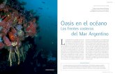 Oasis en el océano - CORE · 2016. 5. 14. · Oasis en el océano Los frentes costeros del Mar Argentino Los océanos abiertos son, salvo excepciones, de gran pobreza. En el Atlántico