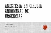 Cristina Lagen H. U. Arnau de Vilanova Lleida · Patología que impide la progresión del contenido intestinal, con repercusión local y sistémica variable según la etiología