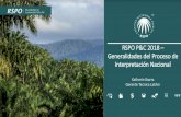RSPO P&C 2018 Generalidades del Proceso de Interpretación …web.fedepalma.org/sites/default/files/files/Fedepalma/NI... · 2019. 3. 7. · RSPO P&C 2018 – Generalidades del Proceso