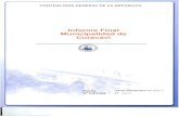 Informe Final Municipalidad de Curacaví · 2014. 7. 31. · contralorÍa general de la repÚblica divisiÓn de municipalidades subdivisiÓn de auditorÍa e inspecciÓn Área auditorÍa