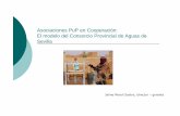 Asociaciones PuP en Cooperación: El modelo del Consorcio … · 2009. 10. 8. · integral del agua. Ejecución de infraestrcuturas. Comunicación con organismos y gobiernos de más