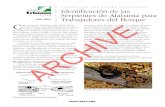 identificación de las serpientes de Alabama para ANR-1308 ...venenosas o en peligro de extinción es importante por varias razones, principalmente para asegurar que usted esté seguro