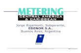 Jorge Rigamonti,Subgerente, EDENOR S.A. Buenos Aires,Argentina · 2019. 9. 2. · EDESUR abarca el 75% de la Ciudad de Buenos Aires, totalmente con redes subterráneas, mientras que