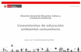 Lineamientos de educación ambiental comunitaria · 2017. 6. 3. · educación ambiental para la ecoeficiencia en instituciones educativas de la REGIÓN APURÍMAC. 2135271 Inversión