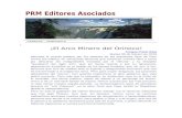 laprotestamilitar2.files.wordpress.com  · Web view2018. 2. 14. · El proyecto del Arco Minero del Orinoco tiene su origen en un plan de explotación minera al sur del rio Orinoco,