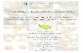 TRABAJO PRÁCTICO TUTORADO Caracterización de 15 variedades · 2017. 10. 30. · Caracterización de 15 variedades locales de tomate de l‟Horta de Lleida. 5 AGRADECIMIENTOS Agradezco