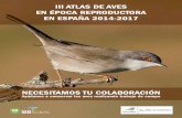 III Atlas de aves en época reproductora en España 2014 -2017...III Atlas de aves en época reproductora en España 2014 -2017 Keywords SEO/BirdLife aborda un nuevo proyecto que solo