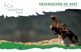 OBSERVACIÓN DE AVES...aves en Euskadi. Para que disfrute del placer de su observación en un entorno privilegiado y así descubra este territorio a través de las mismas. Visitará