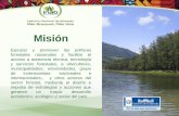 Título de la presentación · 2015. 10. 5. · Mecanismos de Guatemala para REDD+ •D: Deforestación evitada •INAB: PINFOR, PINPEP, PROBOSQUES en modalidad de protección de