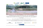 TRABAJOS DE SEGUIMIENTO DE LOS CAMBIOS IREKIBAI · 2019. 9. 11. · Trabajos de seguimiento de los cambios geomorfológicos en la cuenca del río Leitzaran tras las demoliciones de