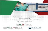 Fondo de Aportaciones para los Servicios de Salud (FASSA)evaluacion.tlaxcala.gob.mx/images/stories/documentos/... · 2018. 5. 3. · El Fondo de Aportaciones para los Servicios de