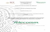 TELECOMUNICACIONES DE MÉXICO DIRECCIÓN DE …...Presentación Telecomunicaciones de México, en adelante Telecomm, en cumplimiento de lo dispuesto por el artículo 134 de la Constitución