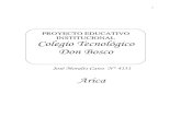 COLEGIO DON BOSCOcolegiodonboscoarica.cl/images/Doc/Doc1.pdf · 2020. 3. 27. · 2 i.- antecedentes generales 2.1. nombre del establecimiento: colegio tecnolÓgico don bosco de arica