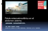 ABDOMEN CATASTRÓFICO.sociedadvalencianadecirugia.com/wp-content/uploads/2017/...Pancreatitis necrohemorrágica intervenida en diciembre 2012 en Hospital Comarcal Necesidad “second
