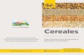 Desarrollo saludable Cereales · do de harina reﬁnada que uses para hacer recetas que lleven harina (panqueques, masas de pizza, tartas, empanadas, etc), por trigo sarrace-no, mijo