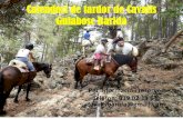 Calendari d’excursions de Cavalls Guiabosc Baridà€¦ · •7 d’octubre, excursió d’un dia, 2 places lliures •8 d’octubre, excursió d’un dia, 3 places lliures •14-15