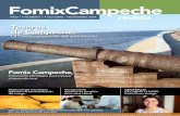 Tesoros de Campeche,fomixcampeche.com.mx/revistas/FOCARE9_web.pdf · 2018. 5. 15. · combate a la pobreza en el Estado de Campeche. • Universidad Autónoma de Campeche ... salud