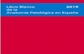 Libro Blanco de la Anatomía Patológica en España 2019 · Coordinadores de los grupos de trabajo participantes en esta edición Grupo de trabajo de Pulmón: Clara Salas (clara.salas@salud.madrid.org)