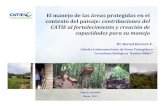 El manejo de las áreas protegidas en el contexto del paisaje: … · 2012. 3. 15. · Diplomado en manejo de áreas protegidas (Proyecto en Bolivia, Honduras, México) Énfasis en
