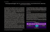 Fisiopatología de la enterocolitis necrotizante (ECN) · raciones de dicha barrera y la translocación de gérmenes o toxinas y la sepsis secundaria a esos fenómenos.11 Los componentes