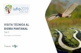 VISITA TÉCNICA AL BIOMA PANTANALiufro2019.com/wp-content/uploads/2019/04/IUFRO_Tour_5-ES.pdf · El bioma Pantanal tiene una biodiversidad extremadamente rica, con 3.500 especies