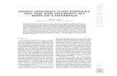 XARXES TRÒFIQUES PLANCTÒNIQUES: PER QUÈ SÓN …digital.csic.es/bitstream/10261/96316/3/Gasol_2005.pdf · XARXES TRÒFIQUES PLANCTÒNIQUES: PER QUÈ SÓN DIFERENTS ALS MARS DE