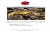 New Eslovenia Pesca 2019 - deOnissafaris · 2019. 2. 25. · de Onis Safaris C/ Doctor Velazquez 10 – 28224 / Pozuelo de Alarcón / Madrid / Spain Tel.:+34 915 152 606 Mov: +34