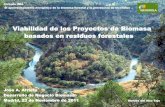 Viabilidad de los Proyectos de Biomasa basados en residuos ... · LA BIOMASA EN ESPAÑA RD 661 : Tarifas y retribución •La política de ayudas a la promoción de energías renovables