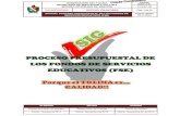 PROCESO PRESUPUESTAL DE LOS FONDOS DE SERVICIOS …puentecucuana.colegiosonline.com/uploads/publicaciones/... · 2020. 1. 7. · 1.3.2 Plan Operativo Anual de Inversiones (POAI) Es