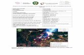 Reporte de incendios forestales relacionados con puntos de ...obum.zmcuernavaca.morelos.gob.mx/metadata/forestal/... · Paraje Cerro de la Luz Superficie afectada 0.9 ha Comunidades