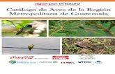 Catálogo de Aves de la Región Metropolitana de Guatemala€¦ · ser insectívoras y controlando organismos que pueden llegar a ser considerados plaga, o frugívoras y funcionando